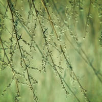 I'm here by JoannaRzeznikowska