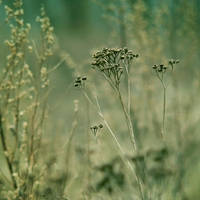 I'm here II by JoannaRzeznikowska