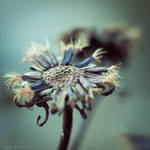 I'll give you all...III by JoannaRzeznikowska