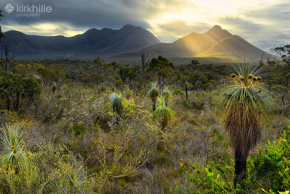 Stirling Ranges Sunset by Furiousxr