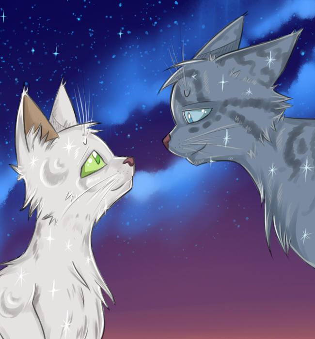 Halfmoon and Jayfeather by Lunatic-Mo-on