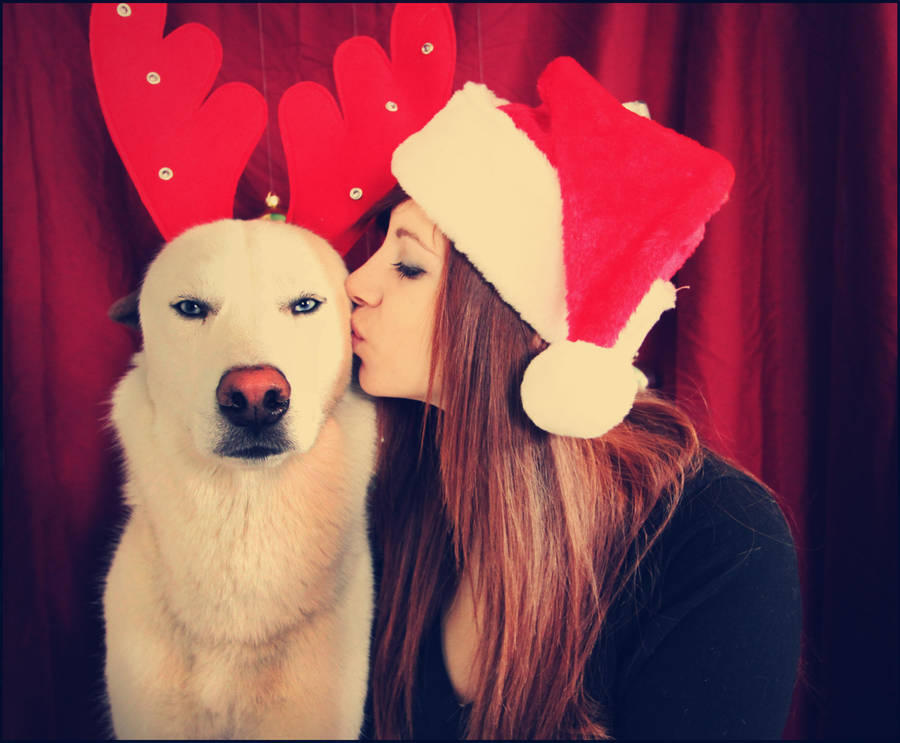 merry little christmas by rebekahkauffman