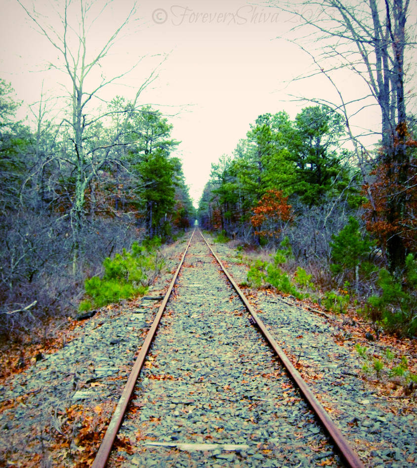 Broken Path by ForeverxShiva