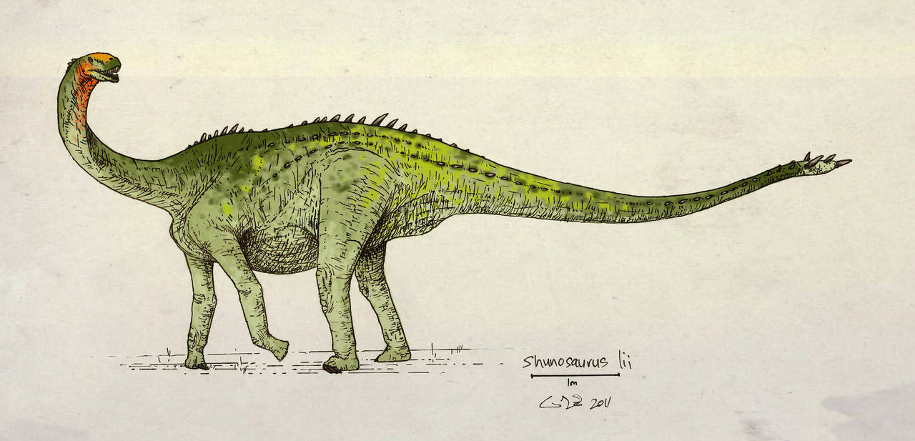 Shunosaurus lii by commander-salamander