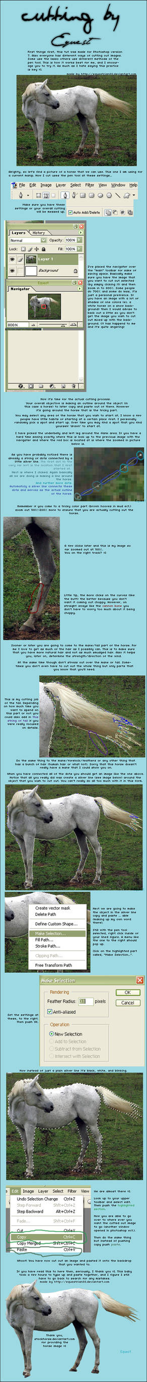 How To Cut Out An Image by equestrian88