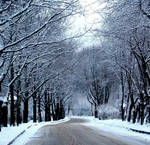 white fairytale by MimeeNature