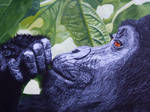Silverback Gorilla by Cosmic-Cherry-Tree