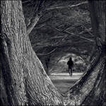going through.... III by Tom-Ripley