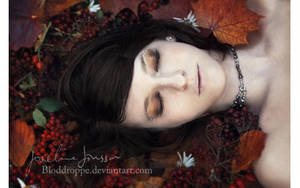 _autumn sleep. by josefinejonssonphoto