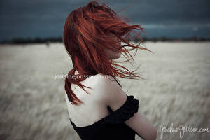 _heartbeat II. by josefinejonssonphoto