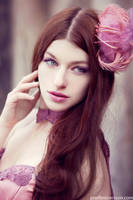 _fuchsia. by josefinejonssonphoto