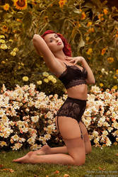 _Sunflower. by josefinejonssonphoto