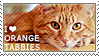 I love Orange Tabbies by WishmasterAlchemist