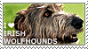 I love Irish Wolfhounds by WishmasterAlchemist