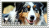 I love Australian Shepherds by WishmasterAlchemist