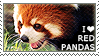 I love Red Pandas by WishmasterAlchemist