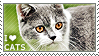 I love Cats by WishmasterAlchemist