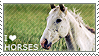 I love Horses by WishmasterAlchemist