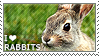 I love Rabbits by WishmasterAlchemist