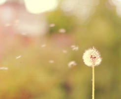 Blow by Strawberry-Mood