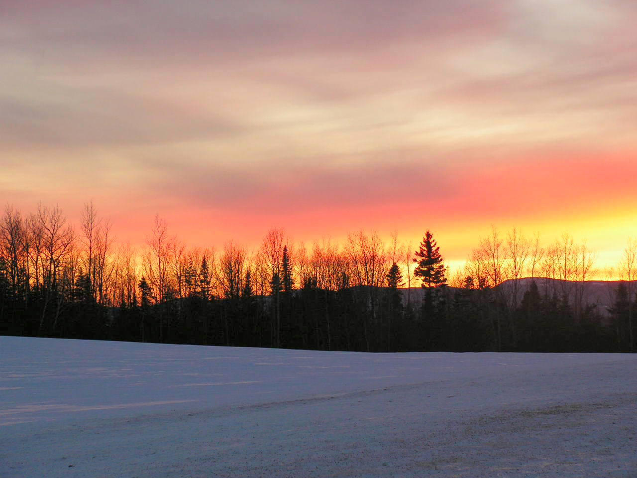 Sunset on a Cold Winter Day by JocelyneR