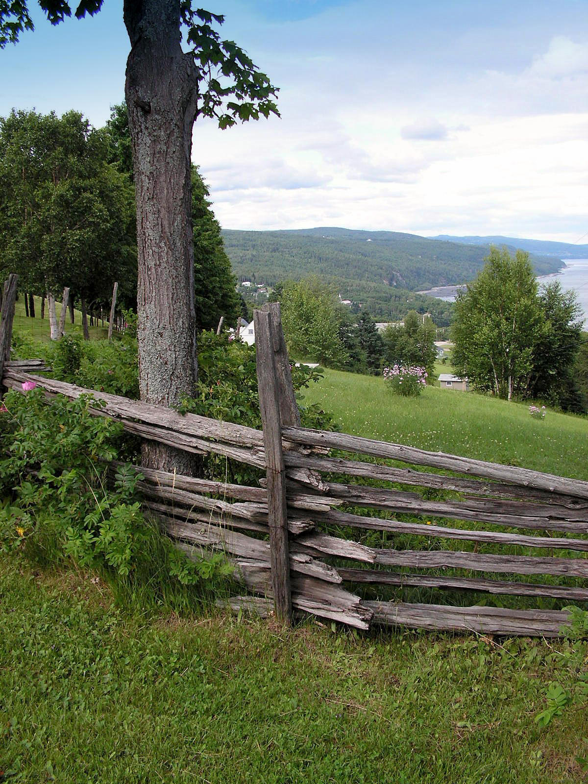 Rural Scenery by JocelyneR