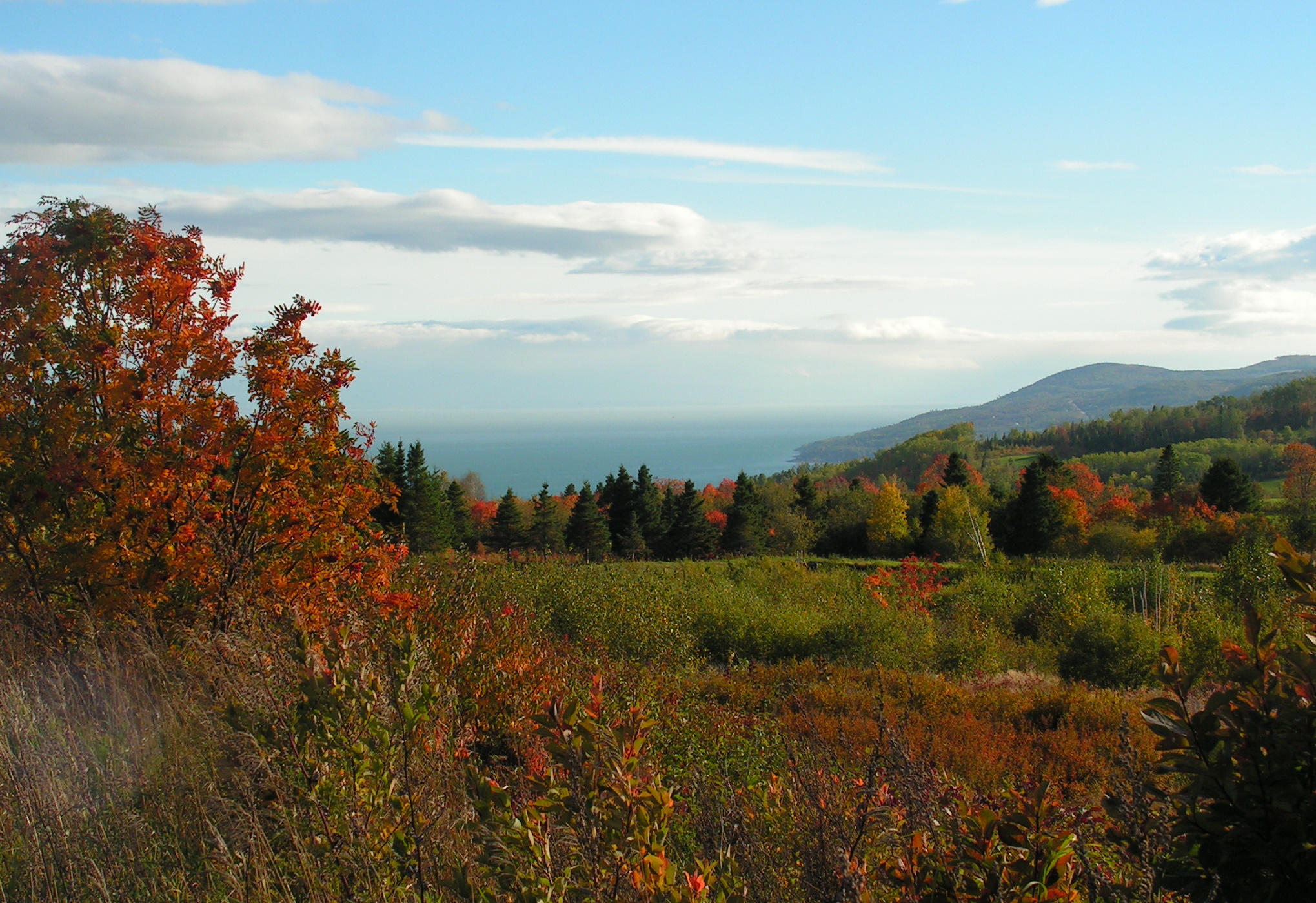 Autumn Colours by JocelyneR