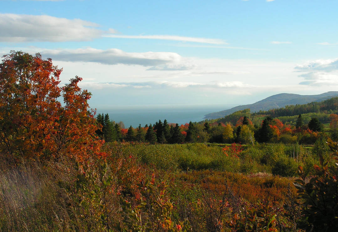 Autumn Colours by JocelyneR