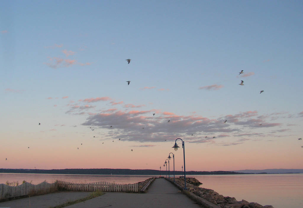 Peaceful River at Dusk by JocelyneR
