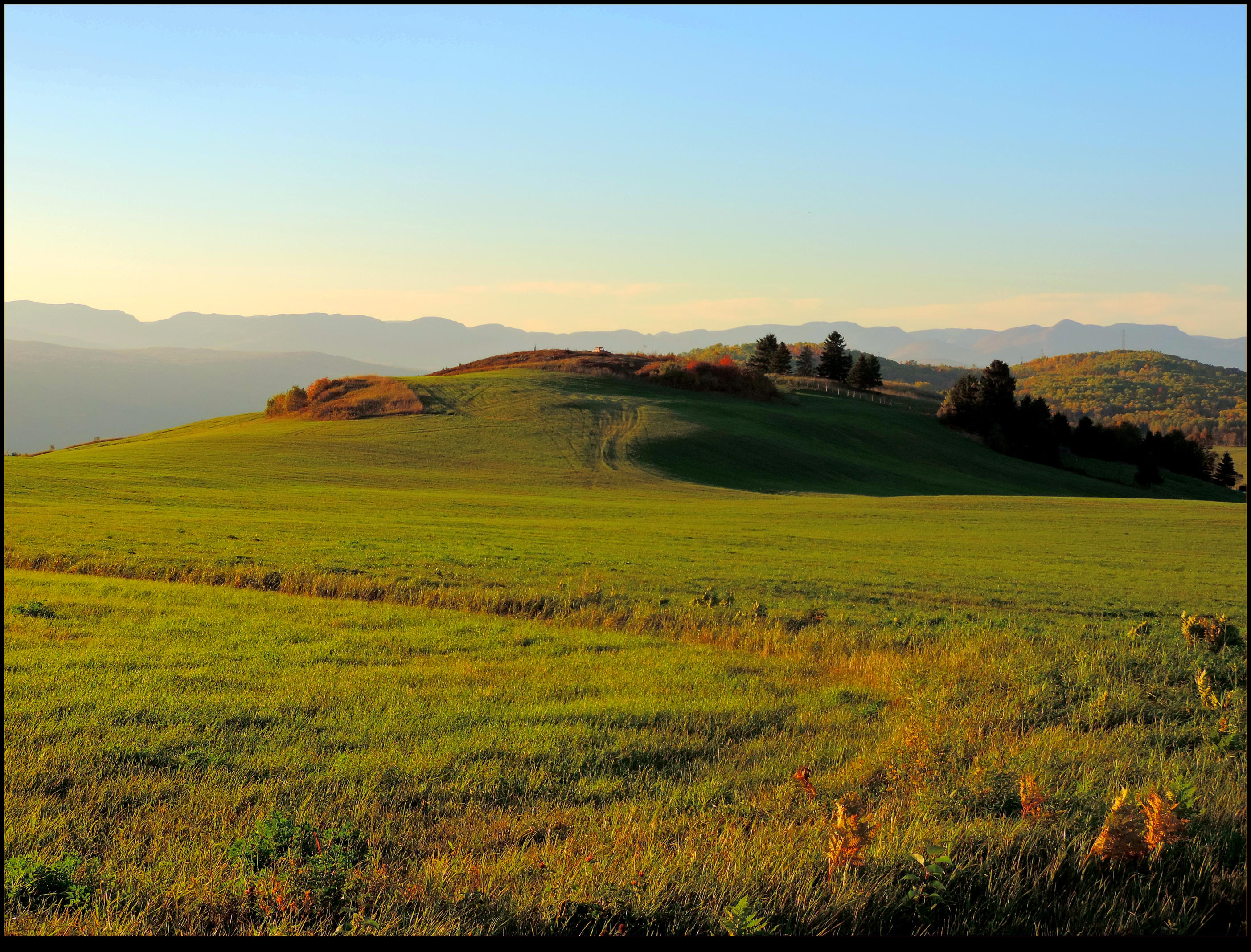 Meadow at Sunset by JocelyneR