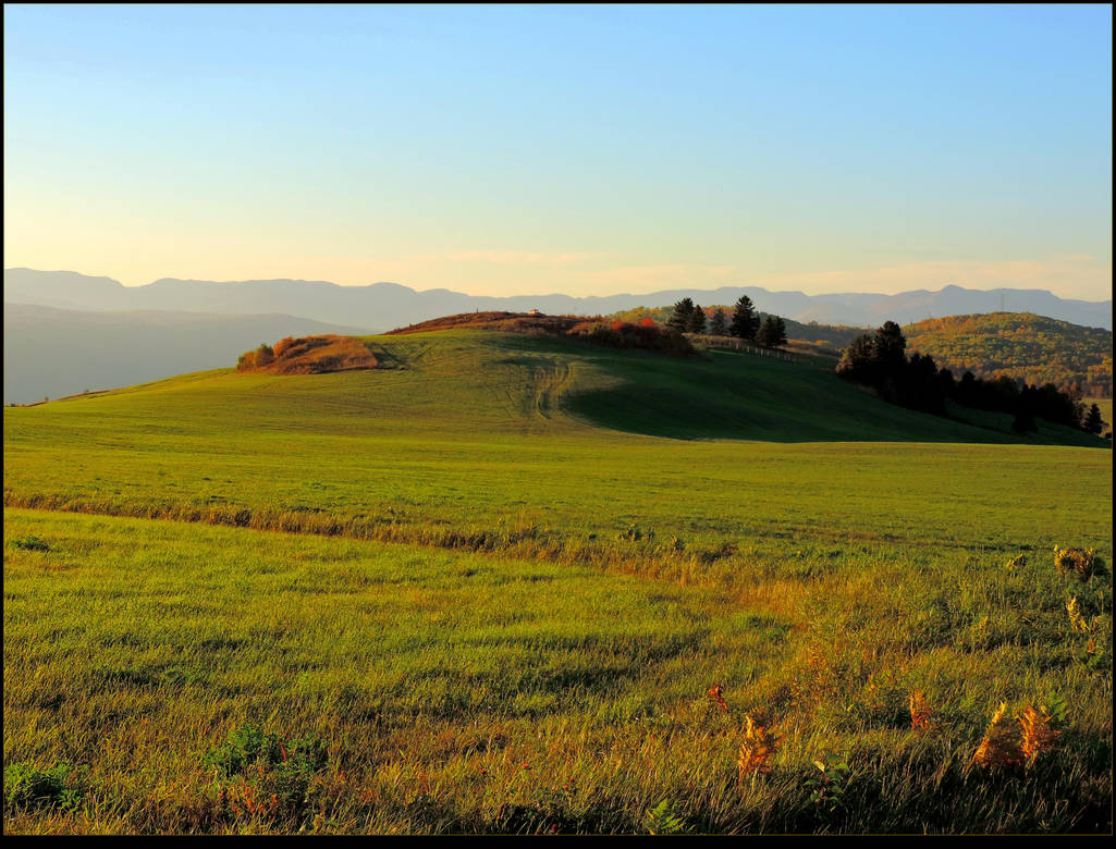 Meadow at Sunset by JocelyneR