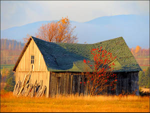 Abandoned Barn by JocelyneR Abandoned Barn by JocelyneR