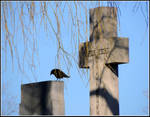 Lest we forget... by JocelyneR