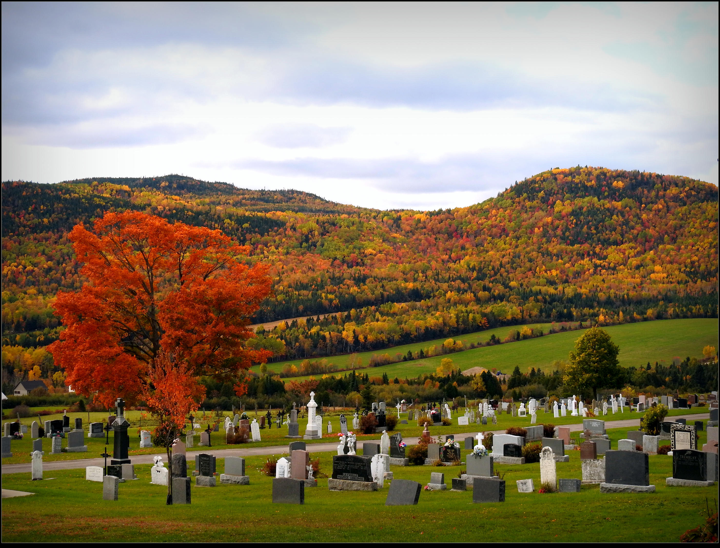 Village Cemetery In Fall by JocelyneR