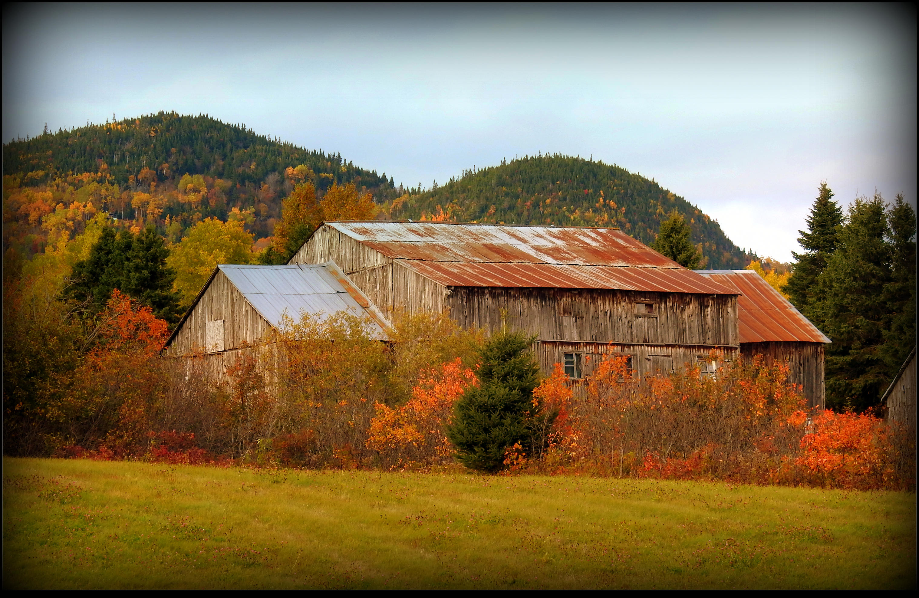 Ancient Barn by JocelyneR