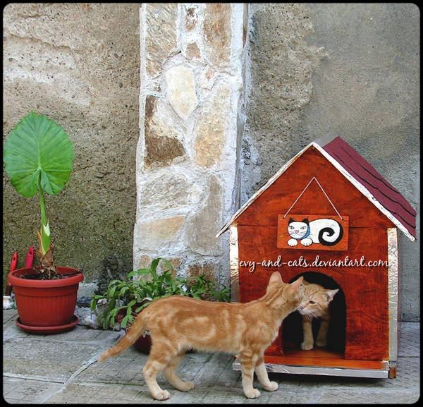 903 by evy-and-cats