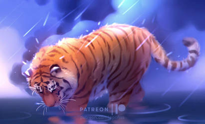 Feline Favourites By Issura On Deviantart