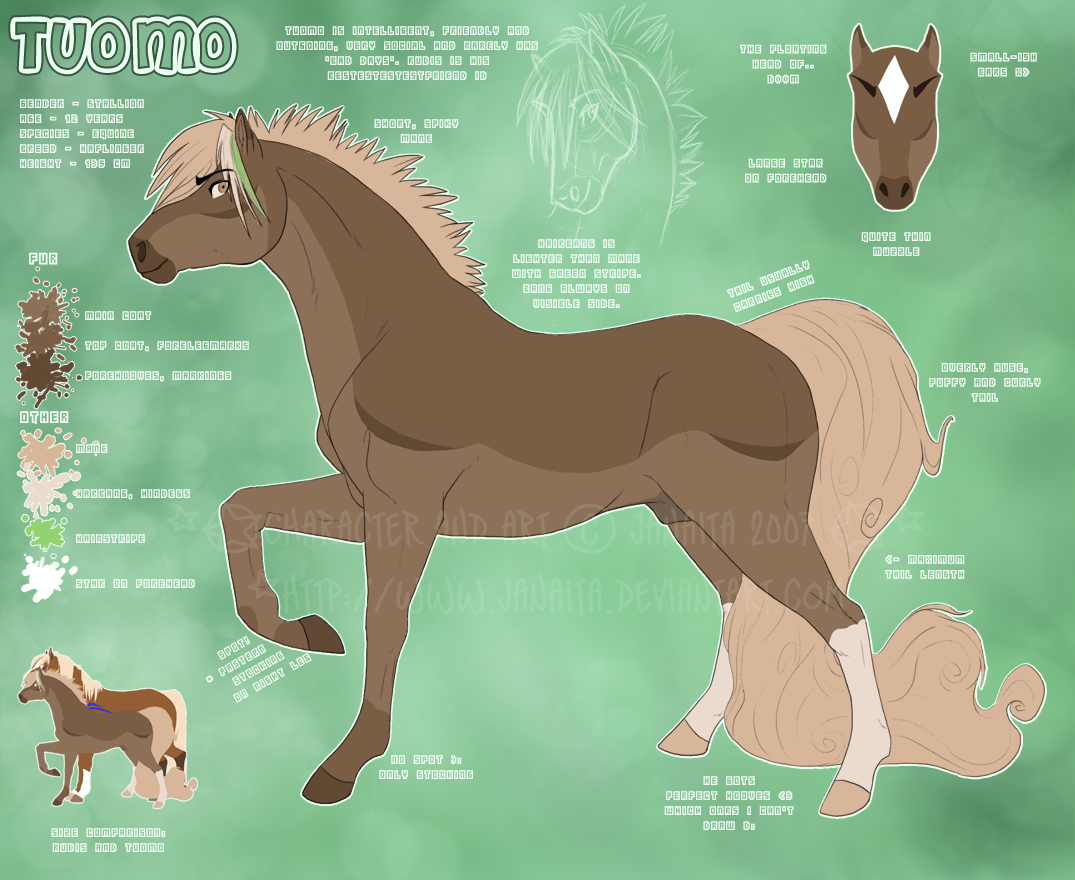 Tuomo - Character ref v.2 by Janaita