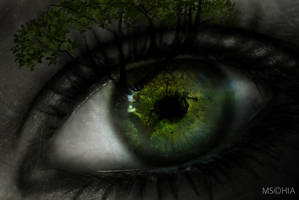 Eye by MSchia