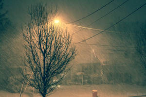 Snowfall by MrsL1ama