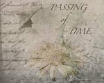 Passing of Time by sandpiperw