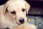 My Heart Just Melted by BlueColoursOfNature