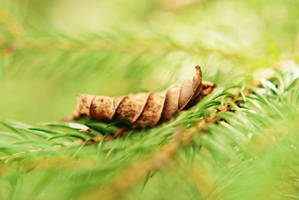 Keep hold of it while you still can by BlueColoursOfNature