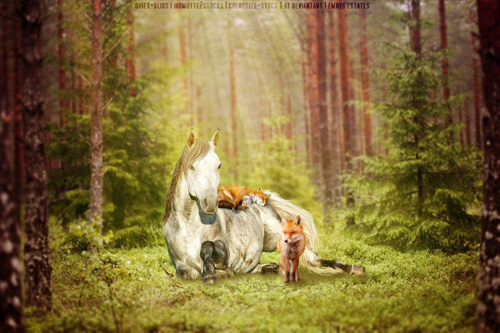 Animal Interactions by frisbee-horseland