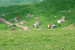 It's green everywhere.. by altansomay