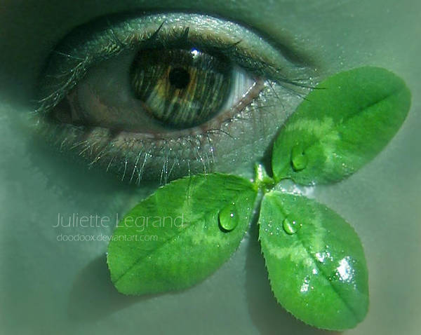 .:Lucky Tears:. by Doodoox