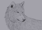 Wolf Portrait (Brush Test) by nihtgield