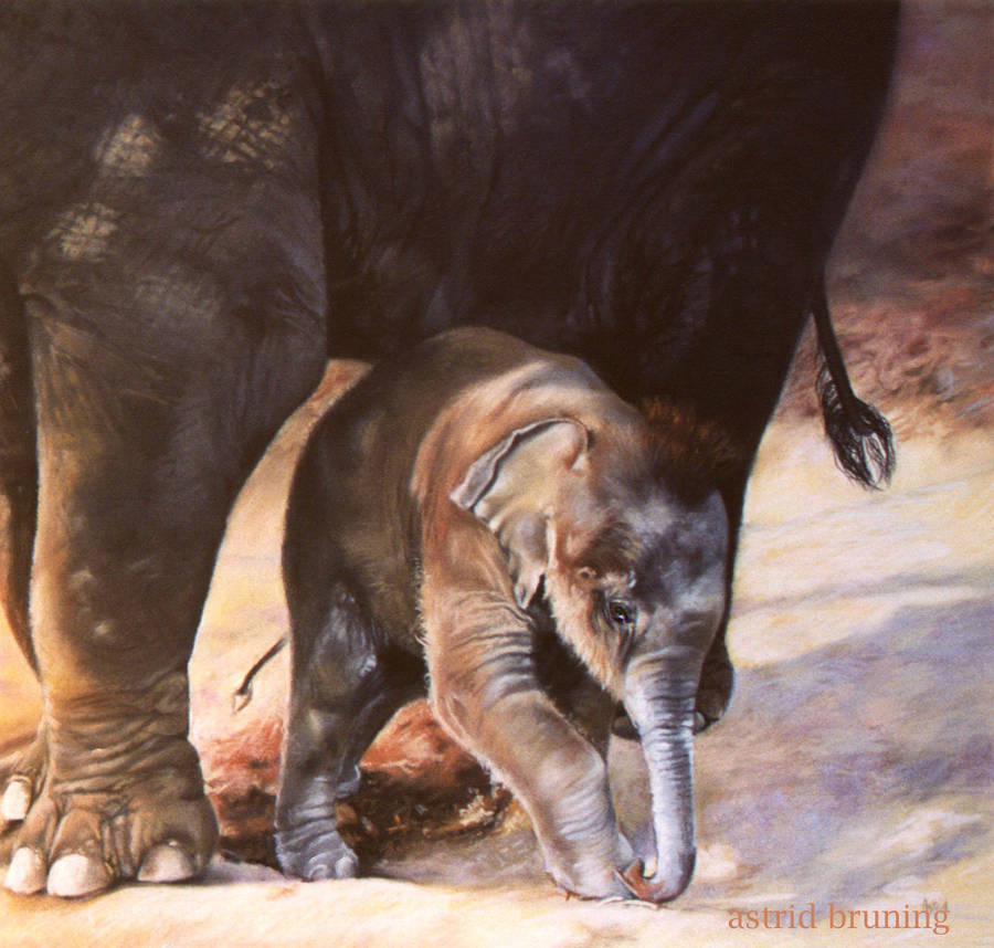 Baby Elephant Walk - PASTEL PAINTING by AstridBruning