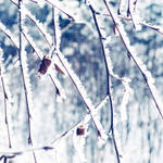 .: december :. by all17