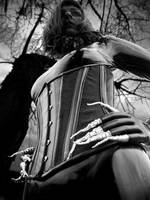 Stingray and Silver by steelfinger